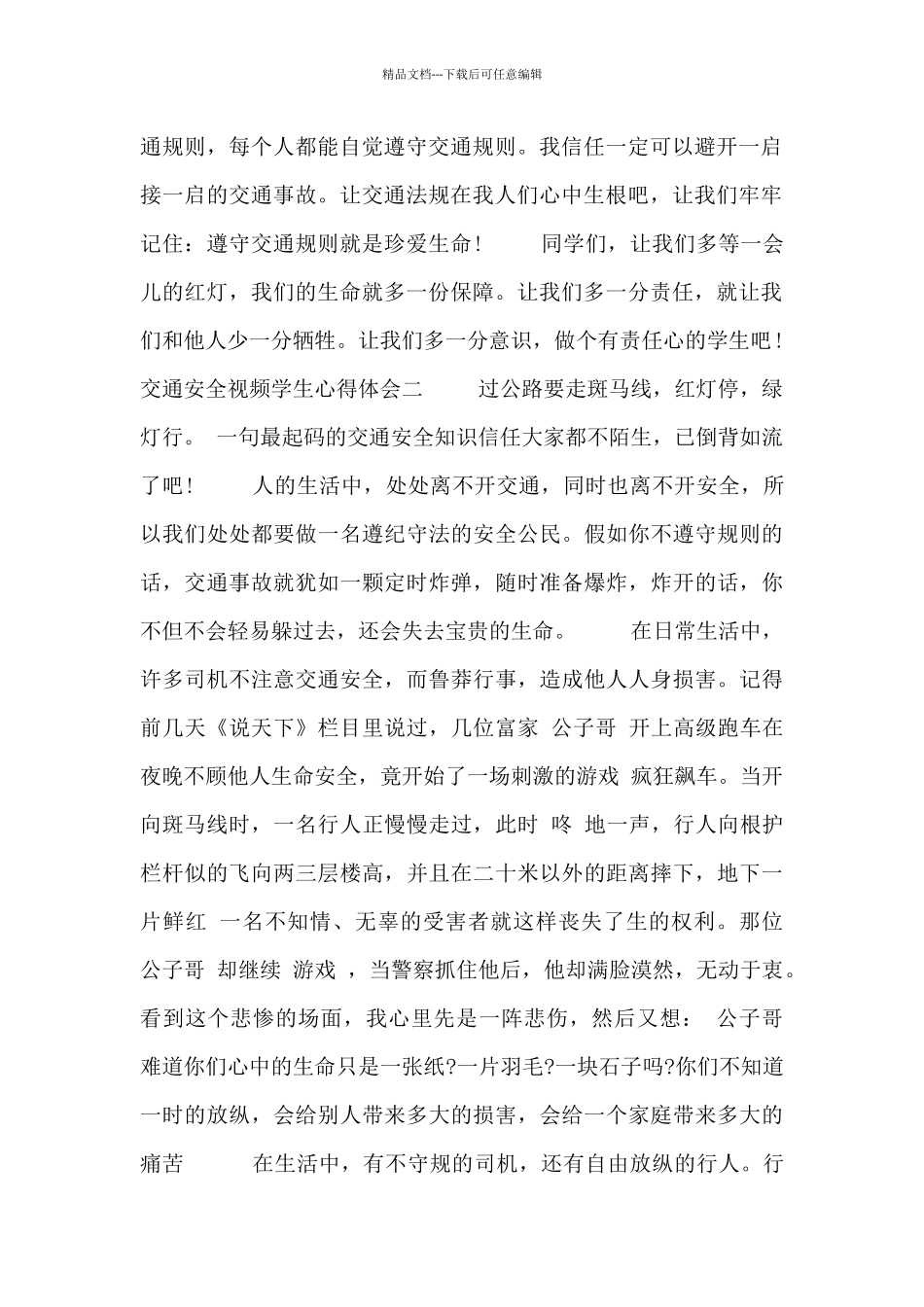 交通安全视频学生心得体会_第2页