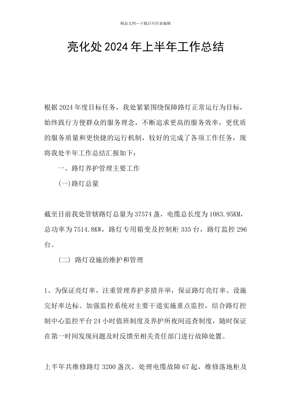 亮化处2024年上半年工作总结_第1页