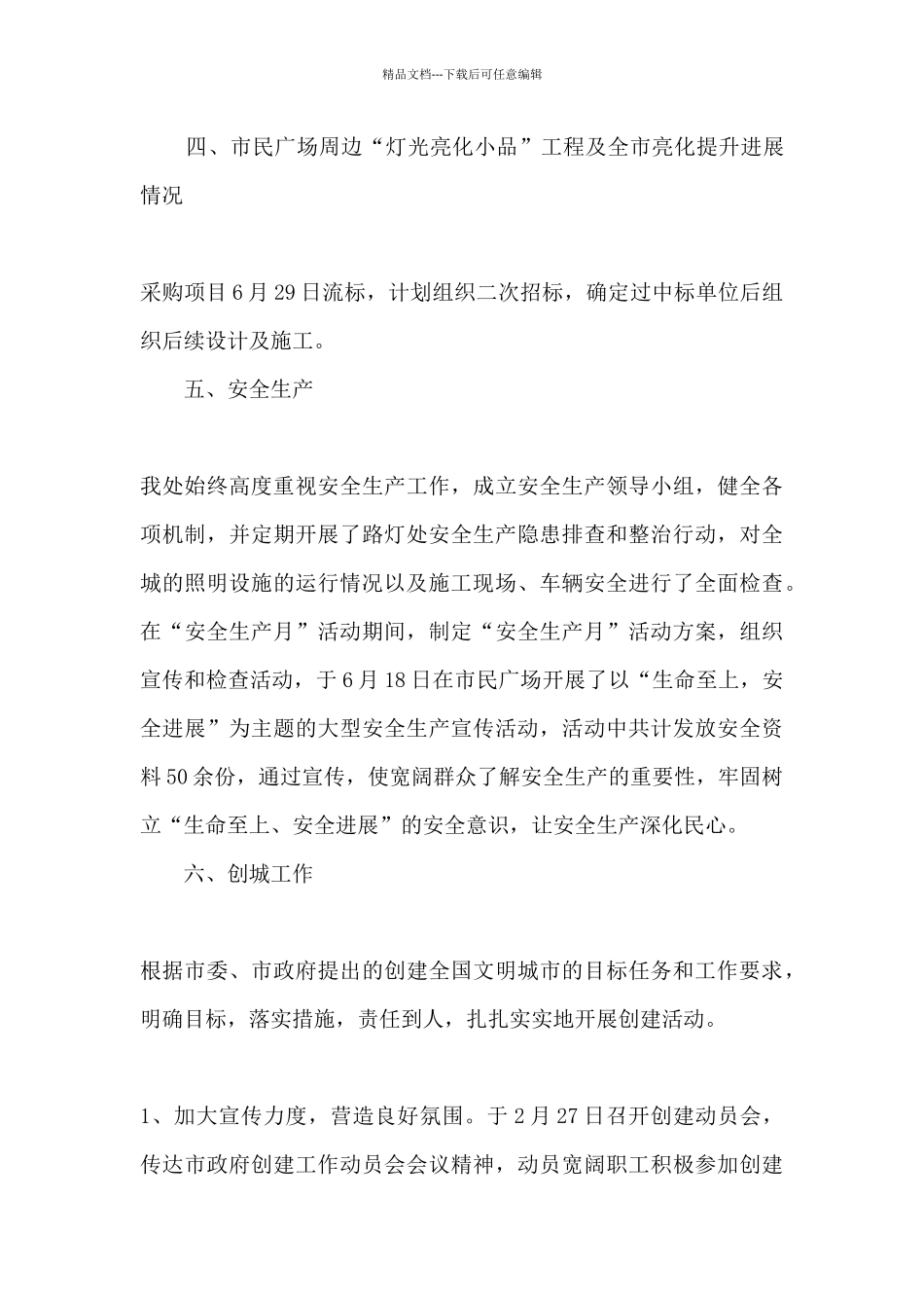 亮化处2024年上半年工作总结_第3页