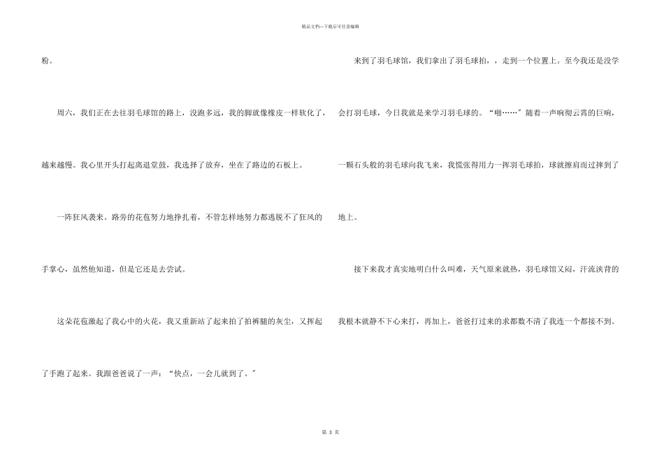 今天我成功了_第3页