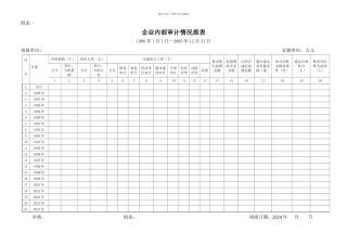 企业内部审计情况报表