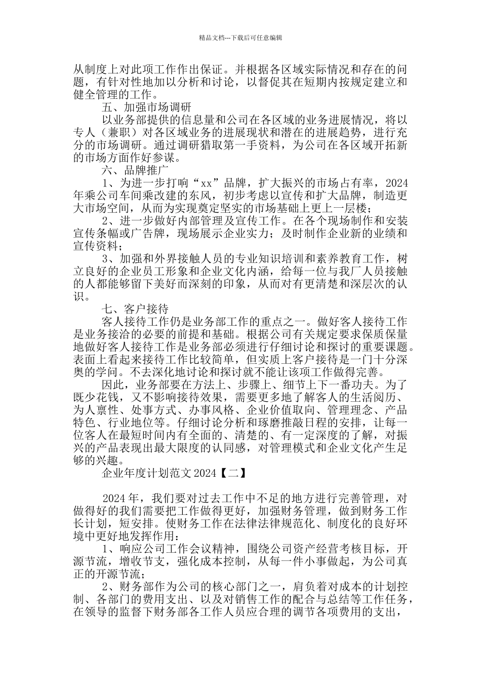 企业年度计划范文2024_第2页