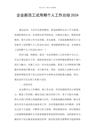 企业新员工试用期个人工作总结2024