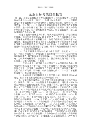 企业目标考核自查报告