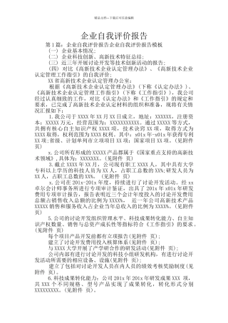 企业自我评价报告