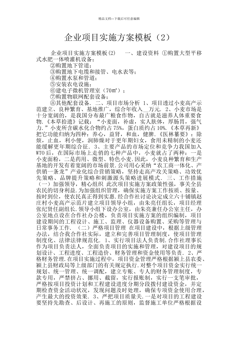 企业项目实施方案模板_第1页