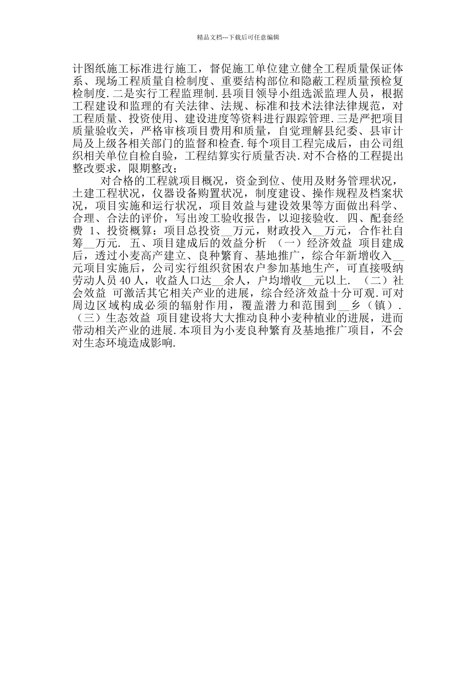 企业项目实施方案模板_第2页