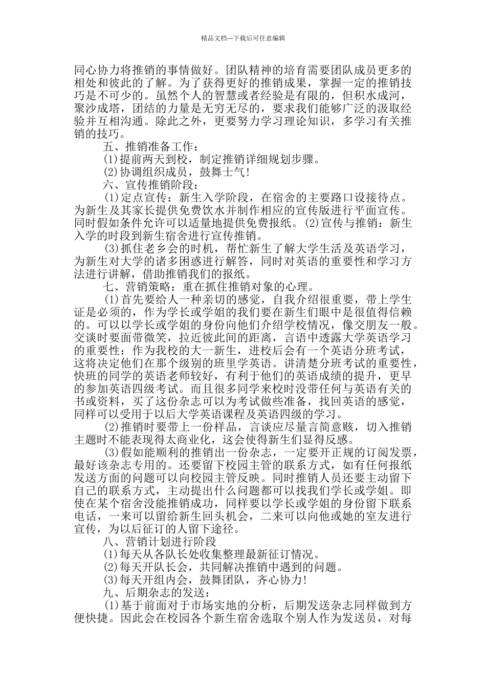 优秀的市场营销计划方案范文_第2页