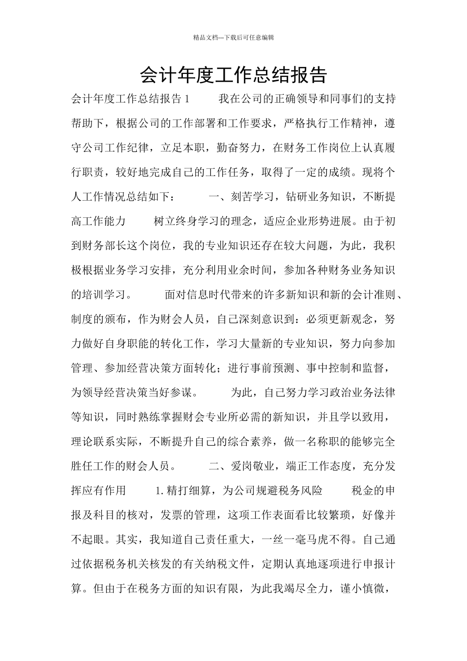 会计年度工作总结报告_第1页