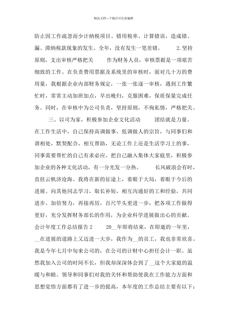 会计年度工作总结报告_第2页