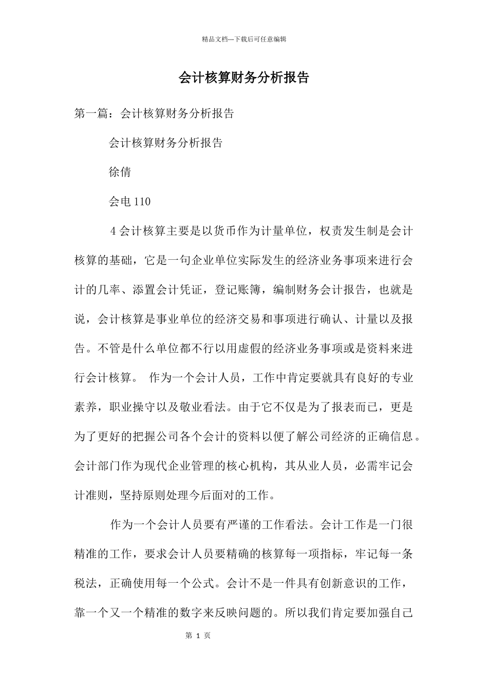 会计核算财务分析报告_第1页