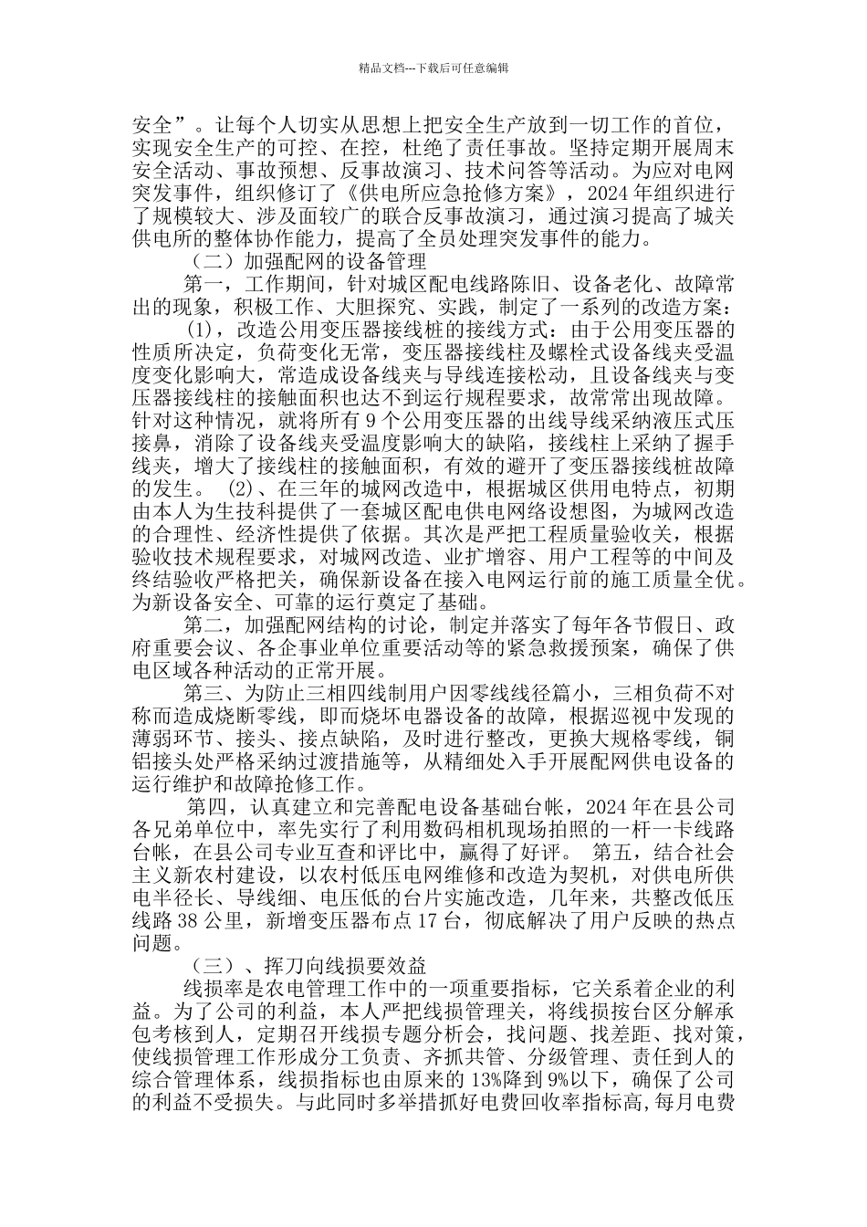 供电所长专业技术工作总结_第2页