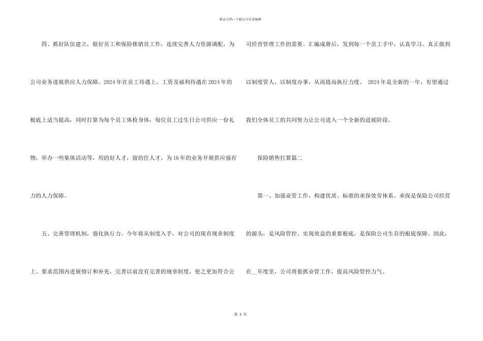 保险个人销售计划书_第3页