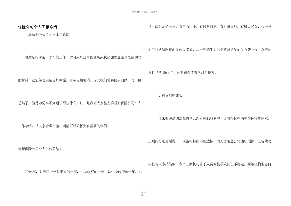 保险公司个人工作总结_第1页