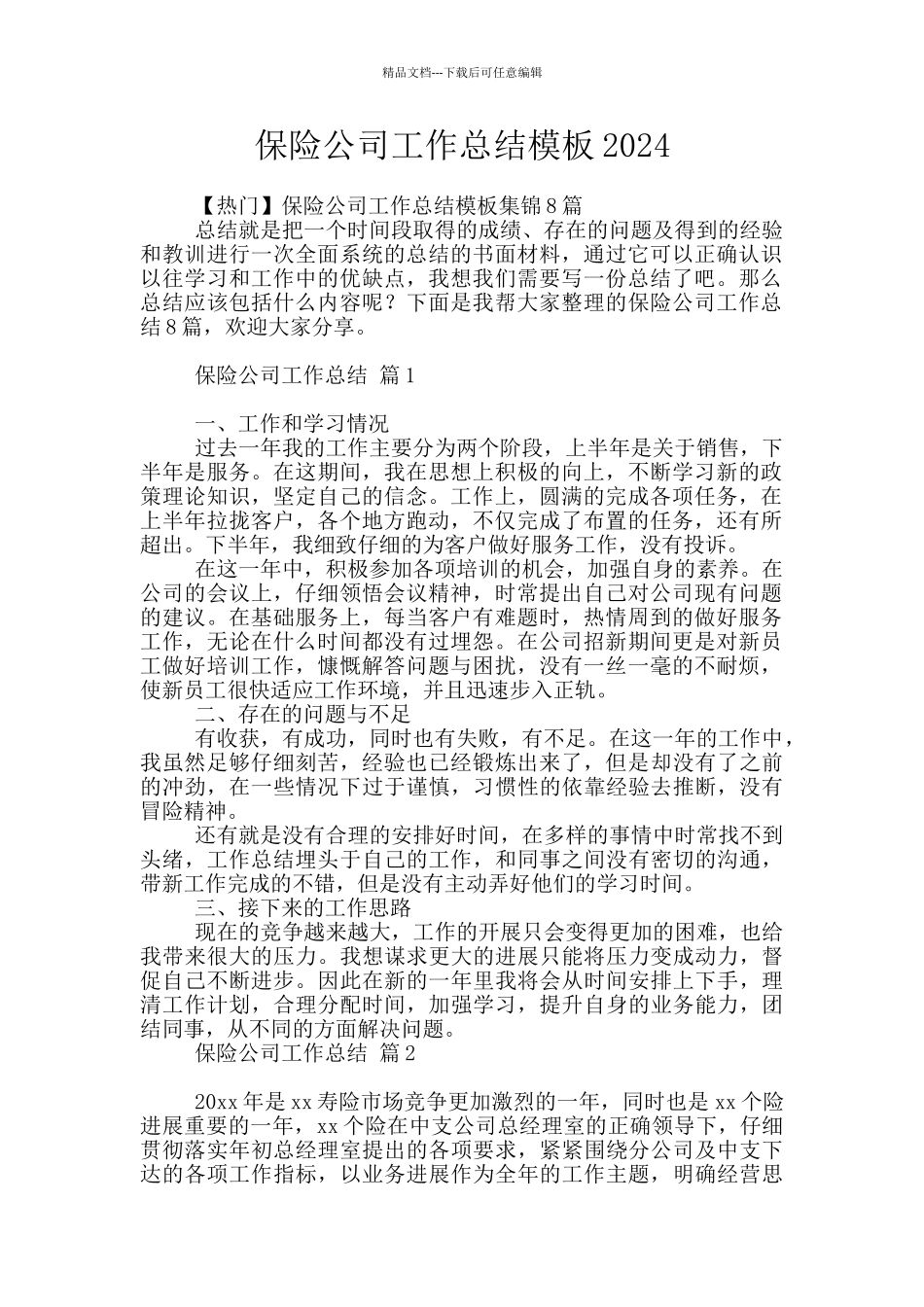 保险公司工作总结模板2024_第1页
