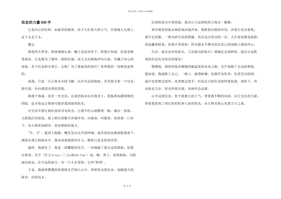 信念的力量800字_第1页