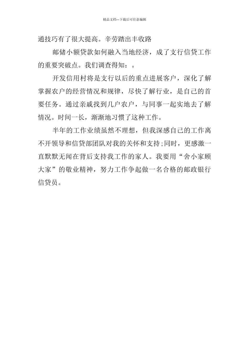 信贷员工作总结范文2024_第3页