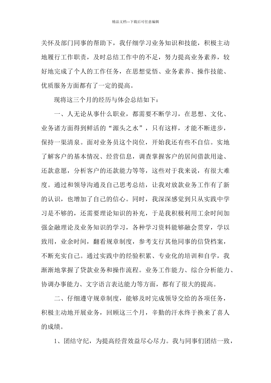 信贷员工作试用期工作总结_第3页