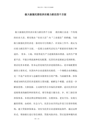 做大做强民营经济应着力抓住四个方面