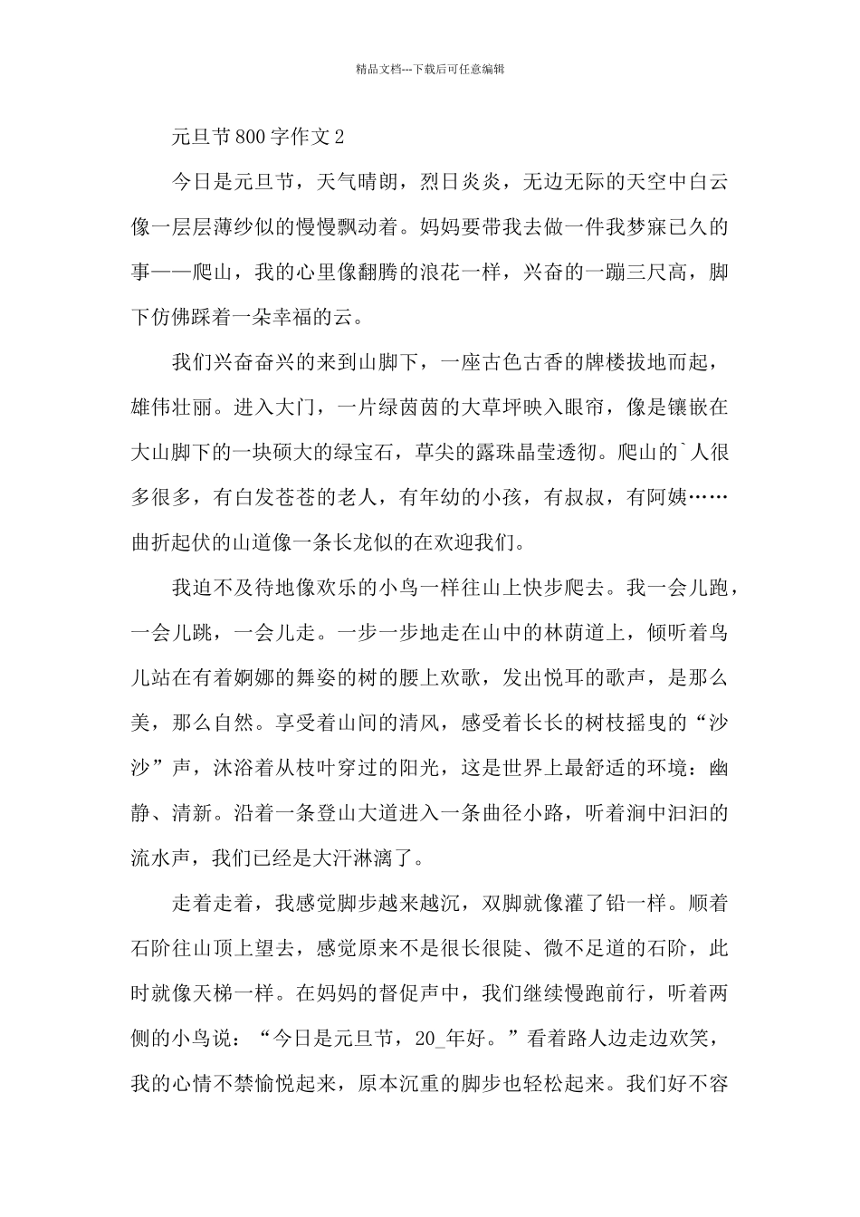 元旦节800字作文5篇优秀范文_第3页