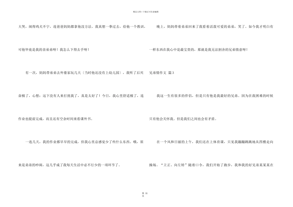 兄弟情锦集十篇_第3页