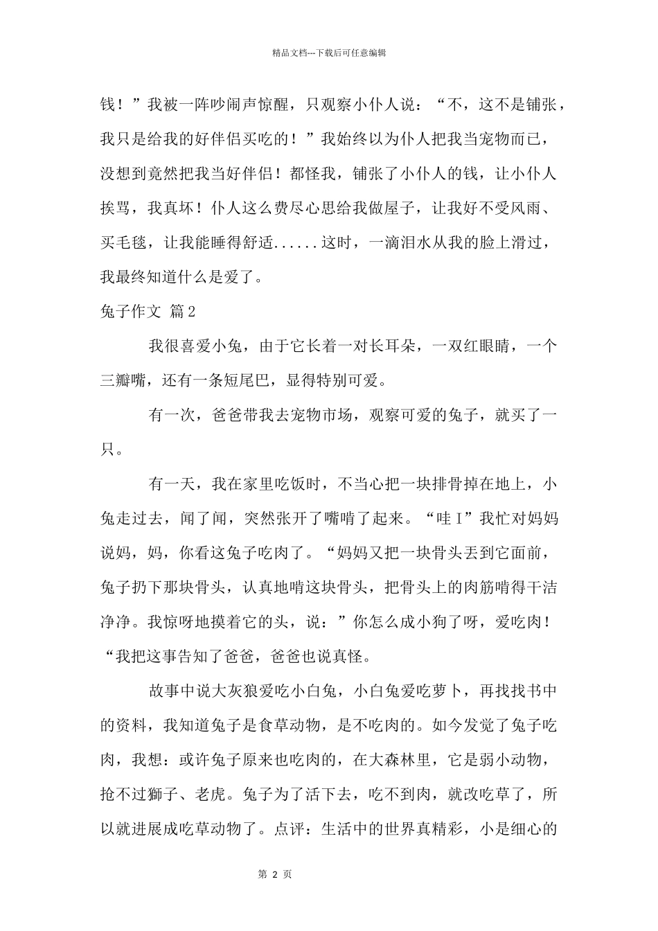 兔子汇编五篇_第2页