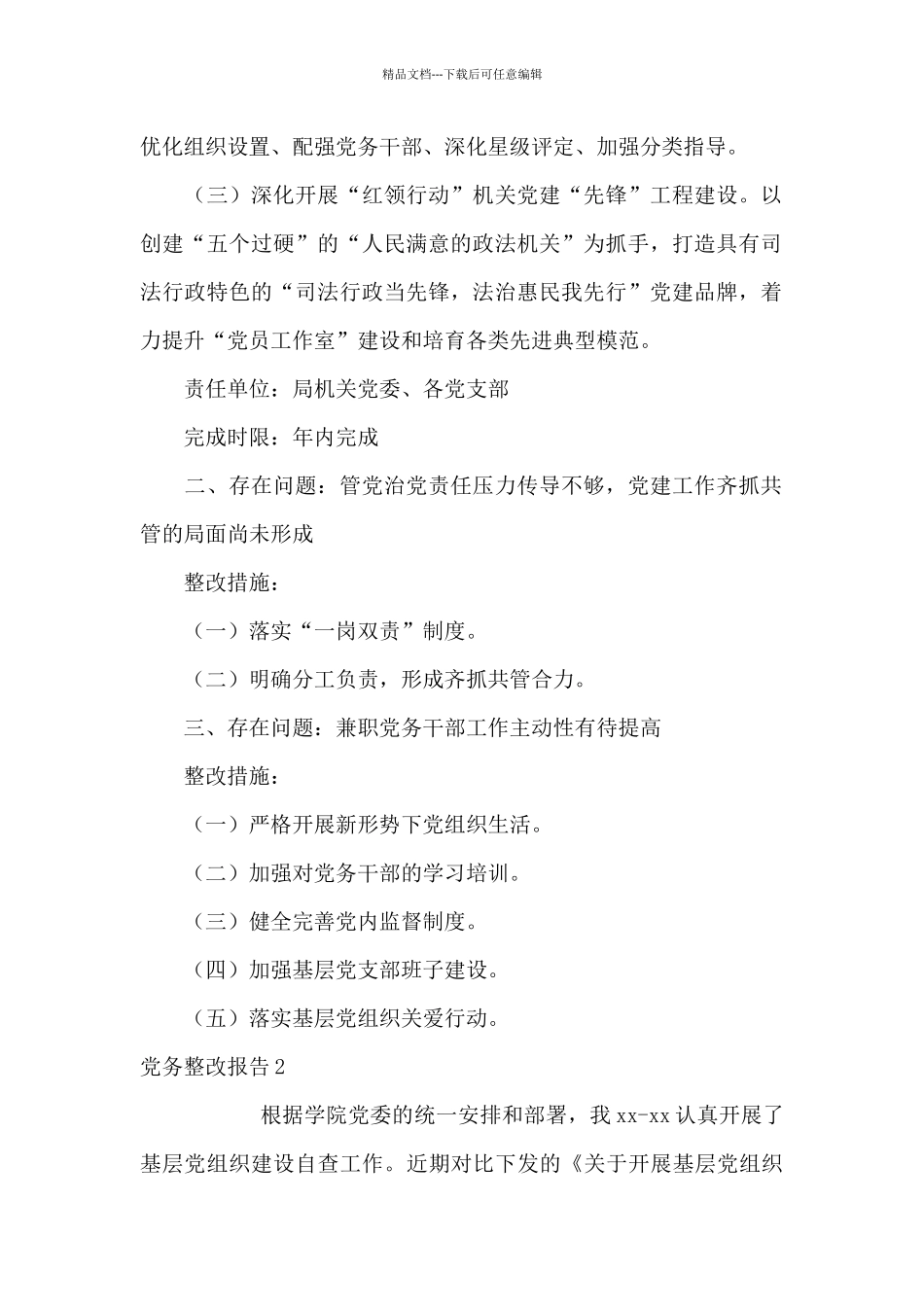 党务整改报告_第2页