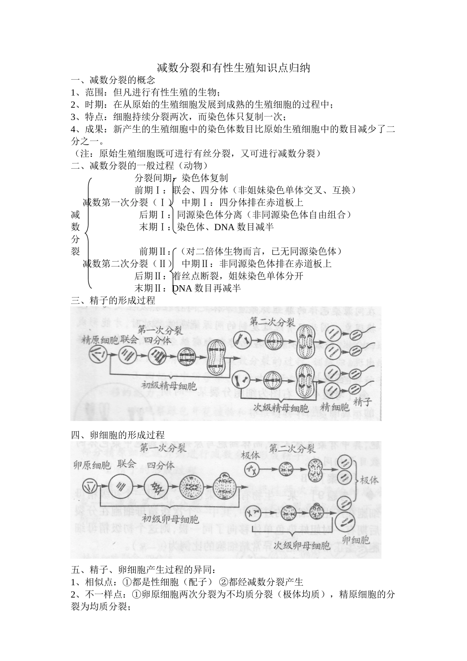2025年减数分裂知识点归纳资料讲解_第2页