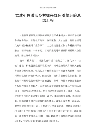 党建引领激活乡村振兴红色引擎经验总结汇报