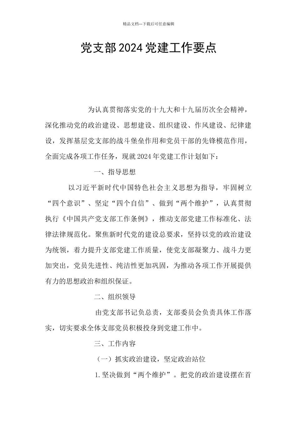 党支部2024党建工作要点_第1页