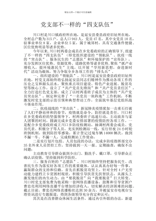 党支部不一样的“四支队伍”