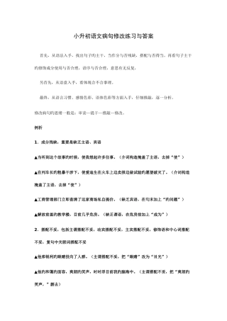 2025年小升初语文病句修改练习学生版