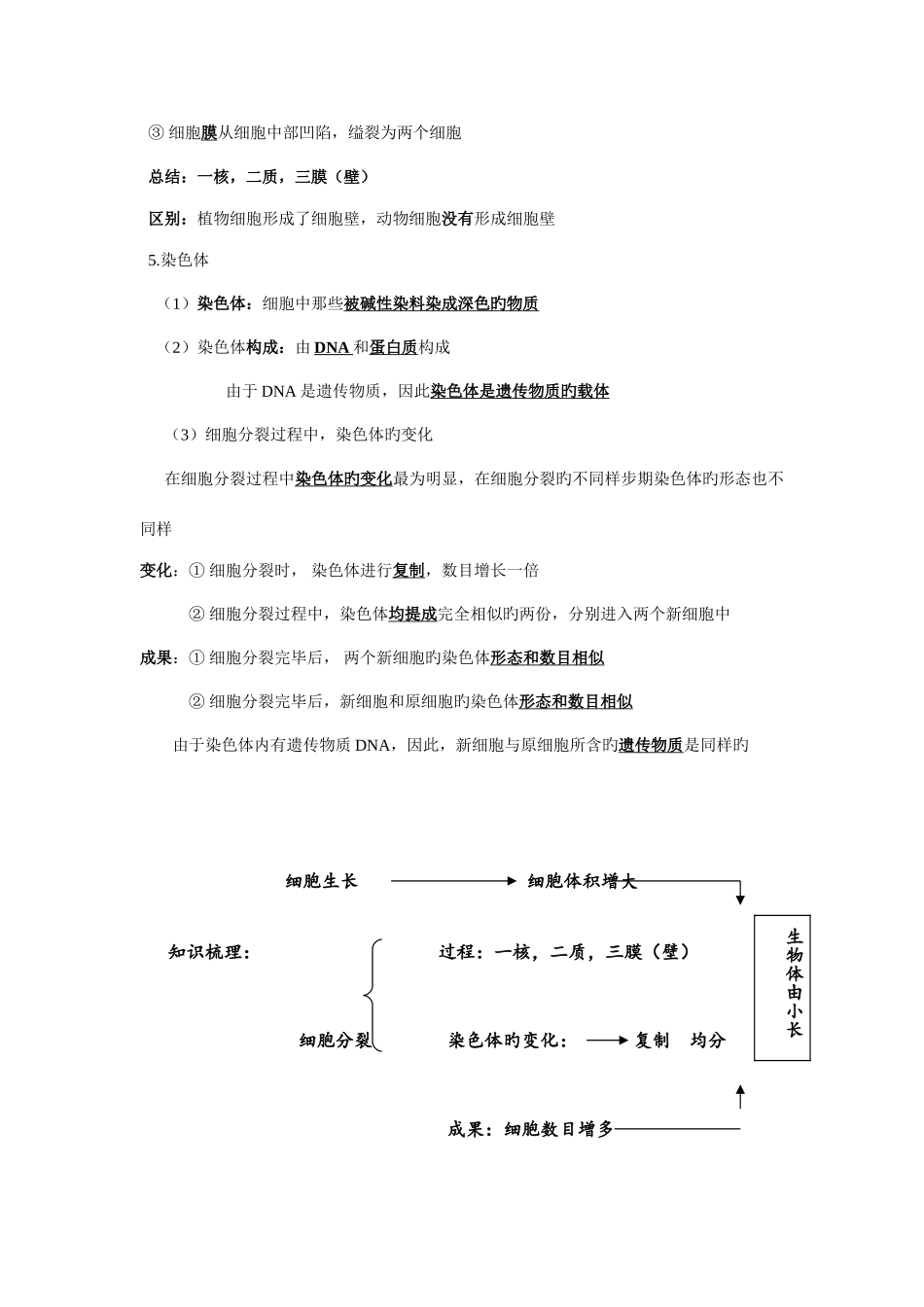 2025年细胞怎样构成生物体复习知识点_第2页