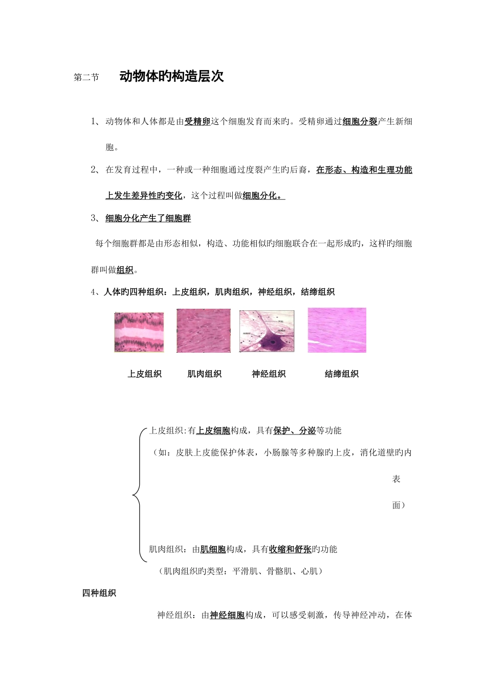 2025年细胞怎样构成生物体复习知识点_第3页