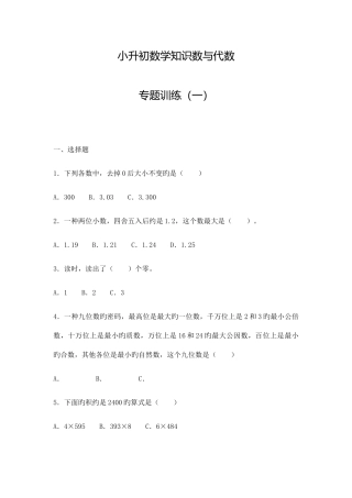 2025年新版小升初数学知识数与代数专项训练