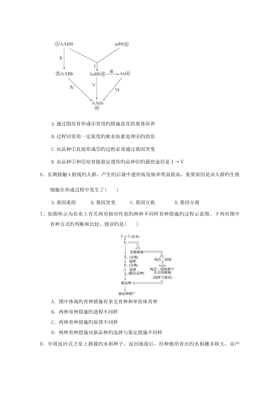 2025年新版高一生物遗传与进化知识点习题演练_第2页
