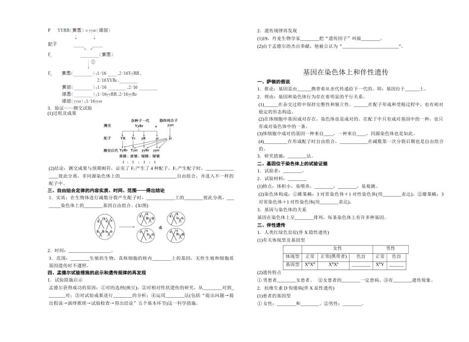 2025年高中生物必修二知识点填空教学教材_第3页