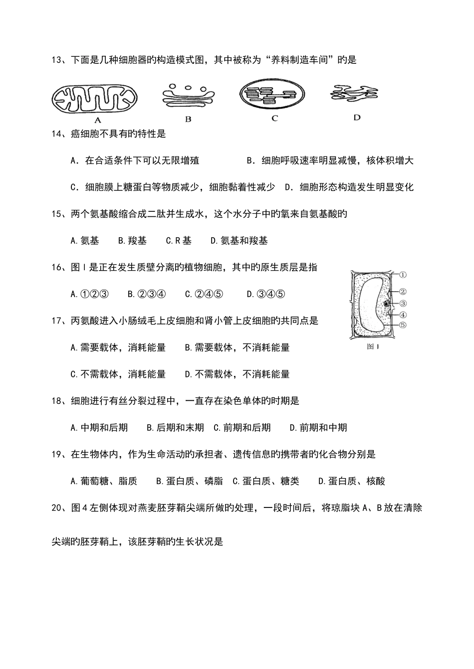 2025年淄博实验中学高二生物学业水平模拟试题_第3页