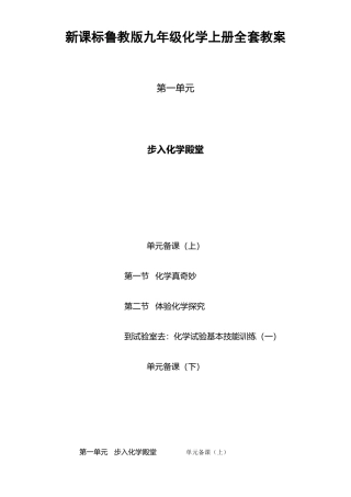 2025年新课标鲁教版九年级化学上册全套教案