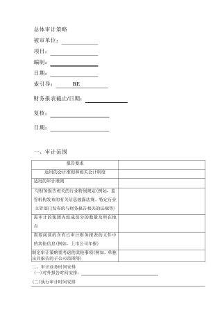 总体审计策略及具体审计计划实物模板