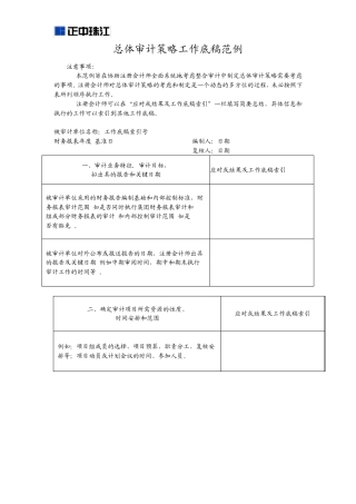 总体审计策略工作底稿范例