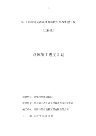 总体项目施工进度计划