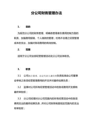 总公司下设分公司财务管理办法