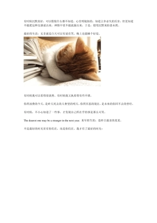 总有一段路,需要一个人走。