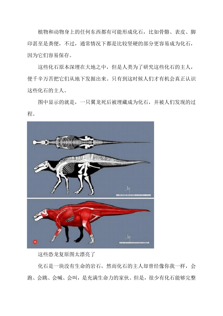 恐龙的进化历程_第3页