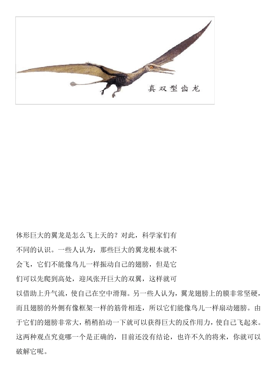 恐龙资料以及图片_第3页