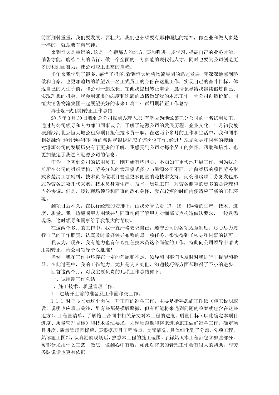 恒大试用期转正工作总结_第2页