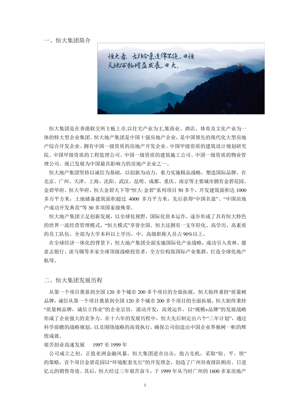 恒大集团战略管理分析_第2页