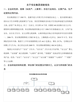 恒安集团调查报告