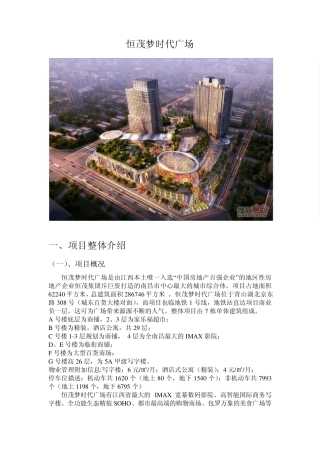 恒茂梦时代广场市场调研报告